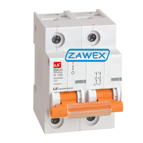 BKH 2P 100A - Aptomat LS MCB 2P 100A 10kA