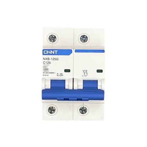 Aptomat NXB-125 MCB 2P 100A