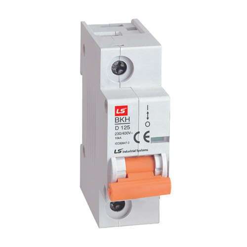 MCB 1P LS BKH-1P, 100A (10kA)